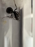 IMG_4407.jpeg