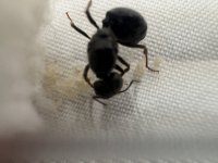 IMG_4576.jpeg