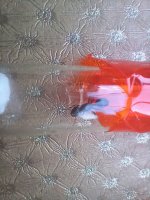 20250512_190535.jpg