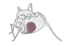 image13.png