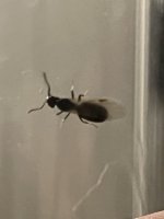 IMG_2594.jpeg