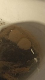 IMG_20250514_184027.jpg