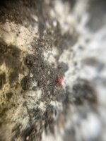 IMG_3360.jpeg