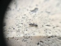 IMG_3361.jpeg