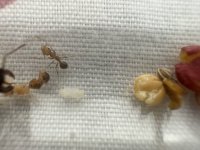 IMG_4637.jpeg