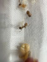 IMG_4632.jpeg
