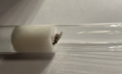 IMG_1610.jpeg