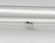 IMG_6837.jpeg