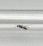 IMG_6835.jpeg