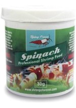 Shrimps Forever Spinach.jpeg Shrimps Forever Spinach.jpeg