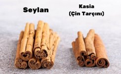 Tarçın.jpeg Tarçın.jpeg