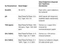 2f5fd738-12a3-40a5-aeff-fbf9ac1a168e.jpeg 2f5fd738-12a3-40a5-aeff-fbf9ac1a168e.jpeg