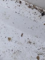 IMG_7021.jpeg