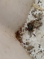 IMG_7019.jpeg