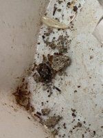IMG_7018.jpeg