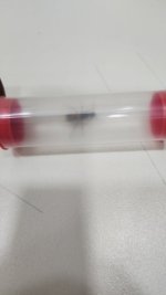 IMG-20250517-WA0013.jpeg