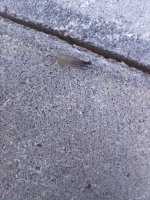 20250509_092417.jpg