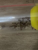 IMG_7027.jpeg