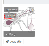 1747639279443.png