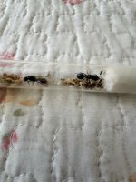 IMG_0510.jpeg