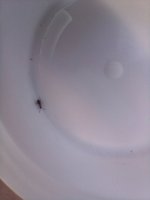 20250519_124152.jpg