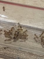 IMG_7029.jpeg