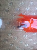 20250512_190534.jpg