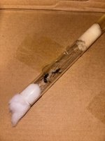IMG_0893.jpeg
