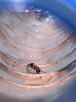IMG_2444.jpeg
