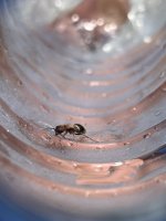 IMG_2442.jpeg