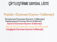Screenshot_20250520-190057~2.png