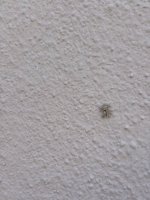4A0BAB71-818C-4351-A27A-1BB0513F54BA.jpeg