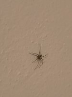 IMG_20250520_230958.jpg