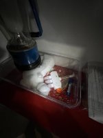 IMG_0985.jpeg