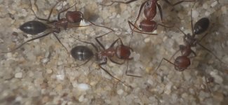 IMG_2873.jpeg IMG_2873.jpeg