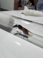 20250521_224708.jpg