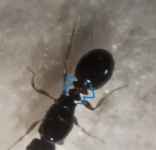 1747864578903.png