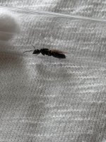 IMG_2151.jpeg