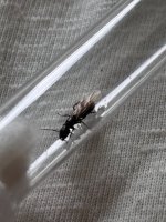 IMG_2153.jpeg