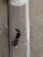 IMG_0101.jpeg