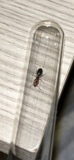 IMG_5294.jpeg IMG_5294.jpeg