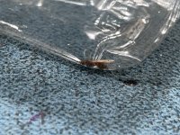 IMG_2458.jpeg