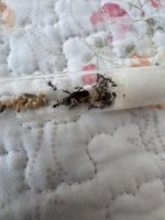 IMG_0578.jpeg