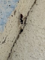 IMG_2607.jpeg