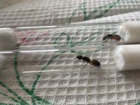 IMG_7744.jpeg