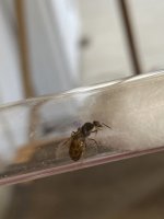 IMG_5411.jpeg