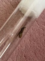 IMG_5408.jpeg