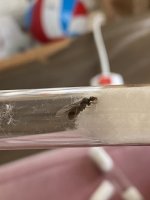 IMG_5406.jpeg