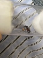 IMG_3228.jpeg
