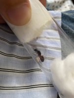 IMG_3230.jpeg